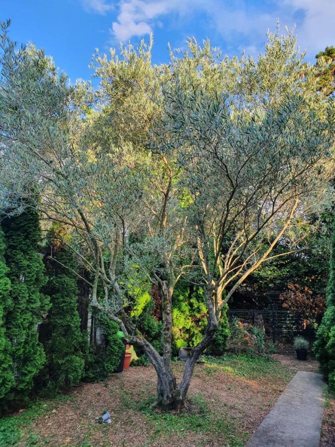 Cypress Garden Lägenhet Portorož Exteriör bild