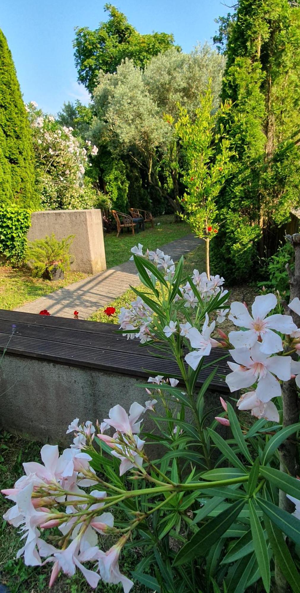 Cypress Garden Lägenhet Portorož Exteriör bild