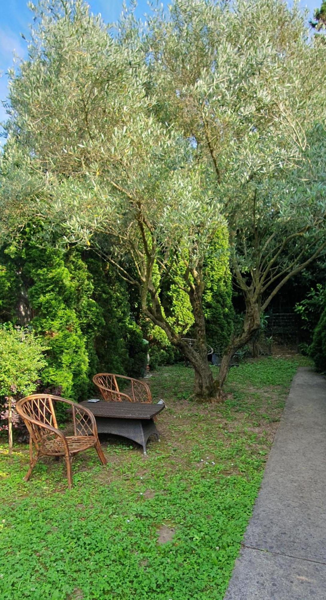 Cypress Garden Lägenhet Portorož Exteriör bild